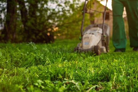 Cortador De Grama Que Corta A Grama Verde No Quintal Foto De Stock