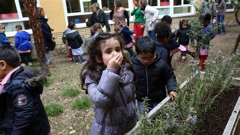 Los Alumnos Del Colegio Gonz Lez De Lama Disfrutan De Un Huerto Ecol Gico