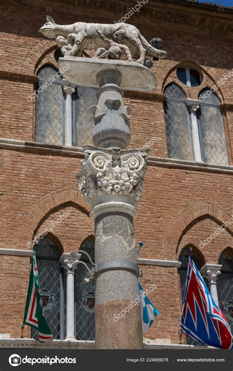 Scultura Della Lupa Che Allatta Neonati Romolo Remo Simbolo Siena