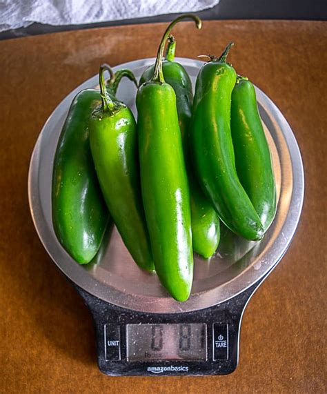 Tiny Jar Of Jalapeno Serrano Hot Sauce Mexican Please