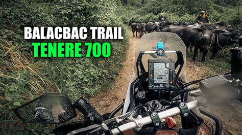 Ep18 Balacbac Trail Tarlac Philippines Tenere700 Youtube