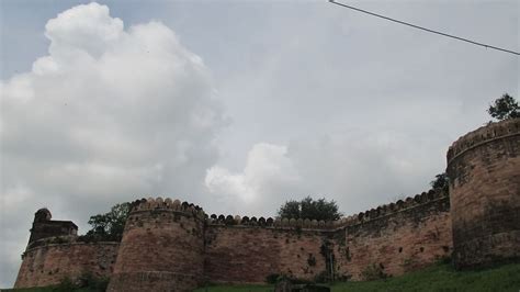 dhar madhya pradesh savitri thakur  theprint