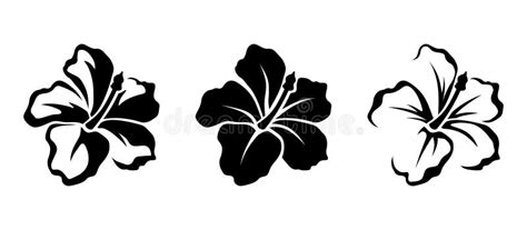 Hibiscus Flowers Vector Black Silhouettes Stock Vector Illustration