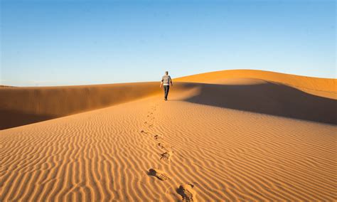 Morocco Wandering Wheatleys