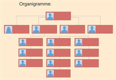 Organigramme 50 Modèles gratuits Word Excel PDF PPT