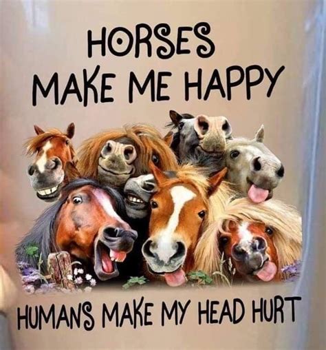 Horse Quotes Funny Horse Jokes Horse Riding Quotes Funny Horses