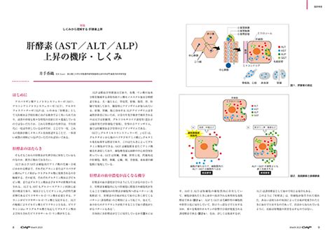 Cap 2023年3月号 株式会社 緑書房