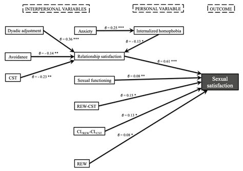 Ijerph Free Full Text An Explanatory Model Of Sexual Satisfaction