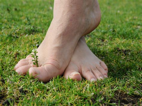 Sentier Pieds Nus Loisirs Loire Valley Val De Loire Loir Et Cher