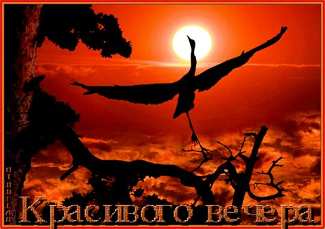 Красивого вечера - Добрый вечер - Мир анимашки