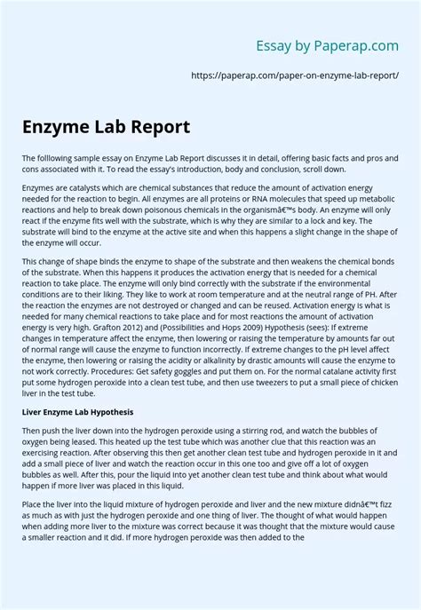 Enzyme Lab Report Pros And Cons Free Essay Example