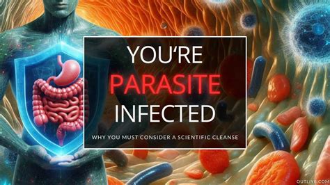 Potent Natural Ways To Kill Parasites FAST (Expert Protocol)