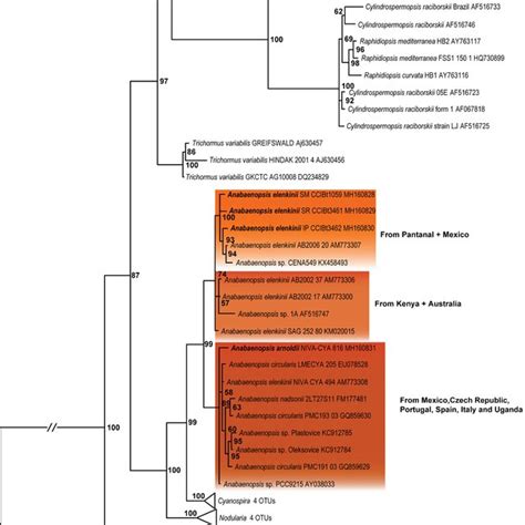 Bayesian Phylogenetic Tree Based On The 16s Rrna Gene Sequences 1417