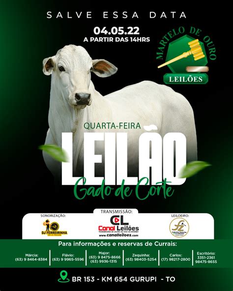 Leil O Especial De Gado De Corte Martelo De Ouro Canal Leiloes