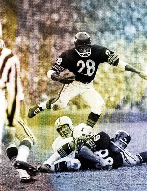 Willie Galimore Stats 1963? | NFL Career, Season, and Playoff Statistics