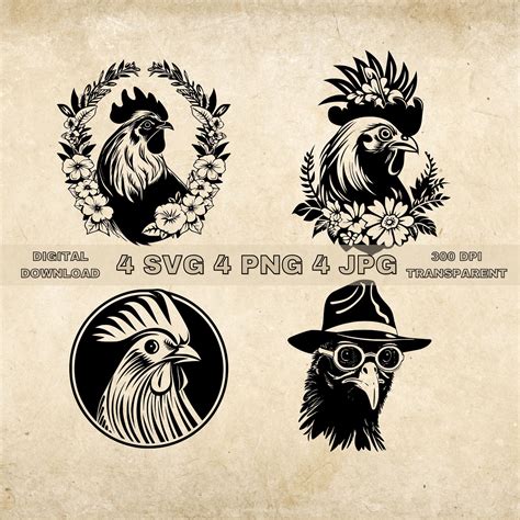 Chicken Svg Bundle Png Farmhouse Clipart Hand Drawn Chickens Vector