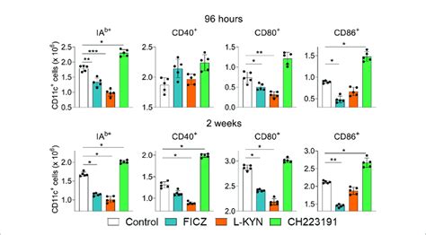 Treatment With AhR Agonists FICZ And L Kyn Reduces While The