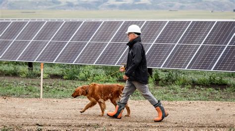 Renewable Energy Pause Welcome In Parts Of Rural Alberta As Some Say Review Long Overdue Cbc News