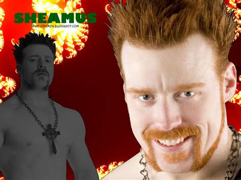 WWE CHAMPS: 'THE CELTIC WARRIOR' SHEAMUS