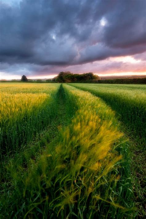 How To Photograph Spring Landscapes Nature Ttl