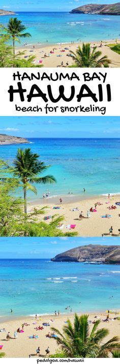 Hawaii Beach On Oahu For Snorkeling When Hawaii Vacation Is On Oahu