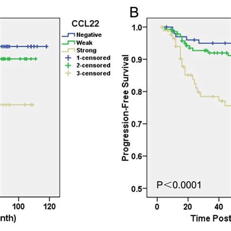 Prognostic Significance Of CCL22 Expression In BC KaplanMeier Curves