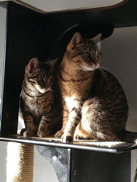 Two months ago they hated each other. Now they are best friends. : r/aww