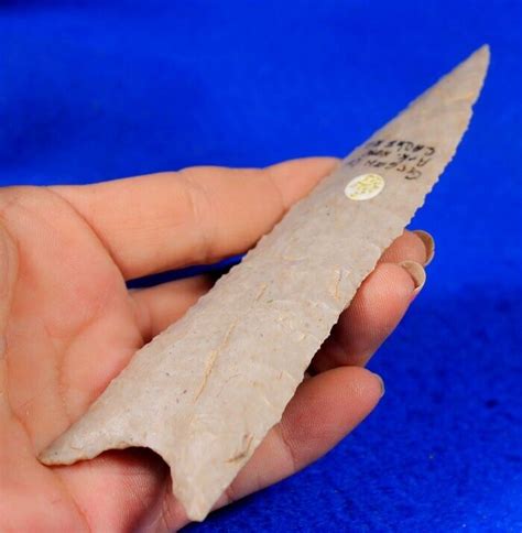 Huge Dalton Classic Authentic Prehistoric Arrowhead Artifact Native