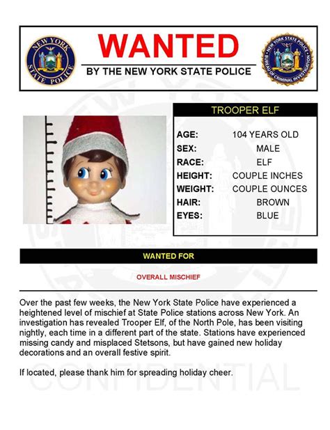 New York Police Issue Wanted Poster For Mischievous Elf Pix11