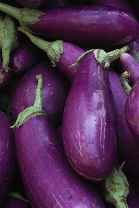 In Stock Purple Eggplant At The Farmers Market By Rebeccaplotnick Colors Plum Purple