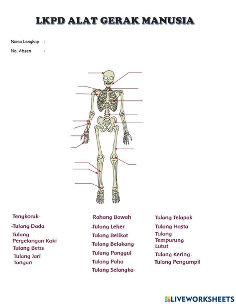 LKPD Alat Gerak Manusia worksheet | School subjects, Videos tutorial ...