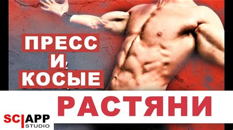 Как Правильно Растягивать Пресс и Косые (Исправь Зажатый Пресс) | Джефф ...