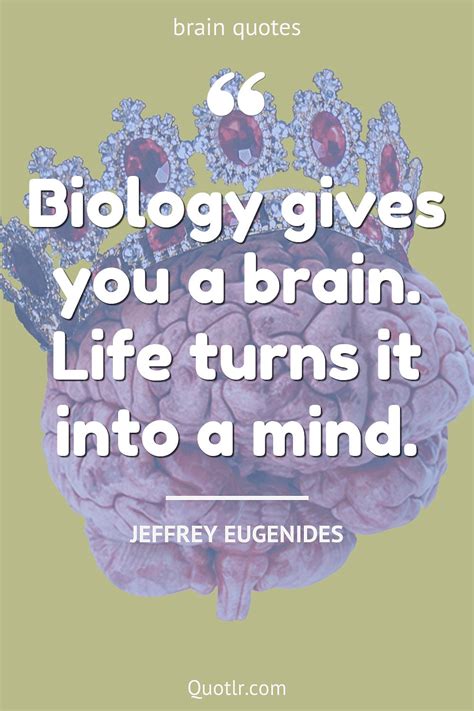 219 Brain Quotes To Ignite Your Mind And Inspire Your Potential