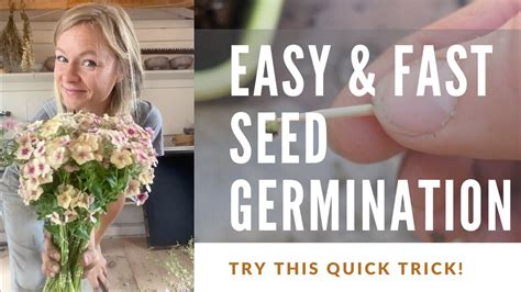 Germinate Seeds For The Garden With This Trick Youtube