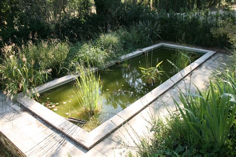 Bassin De Jardin Installer Am Nager Et Entretenir Un Bassin D Ext Rieur