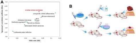 Combating Pancreatic Cancer With Ovarian Cancer Cells Figure F1 Aging