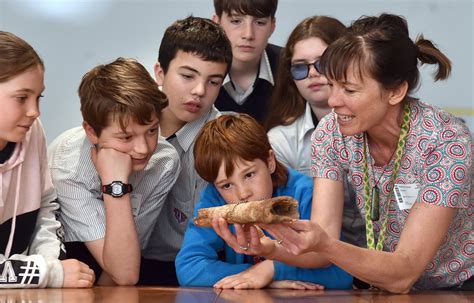 Pupil Power Helps Solve Moa Mystery Otago Daily Times Online News