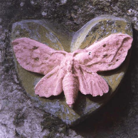 Fairy Dance Melanie Martinez Fanon Wiki Fandom