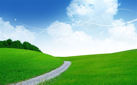 Grass Field Wallpapers