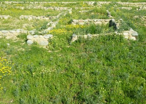 Talgar, Kazakhstan 2023: Best Places to Visit - Tripadvisor