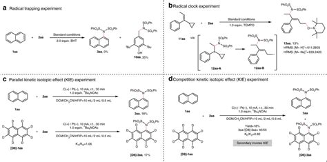 Mechanistic Experiments A Radical Trapping Experiment B Radical Clock