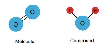 Molecule vs. Compound — Definition & Comparison - Expii