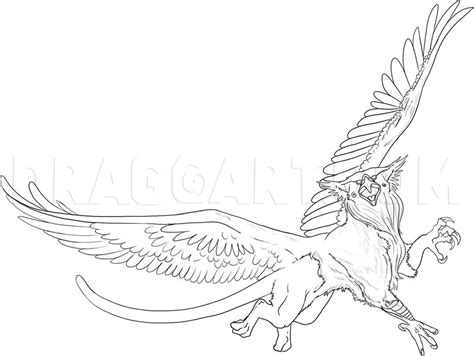 Griffin Lineart Template By Sugarpoultry On Deviantart Artofit