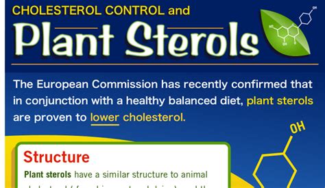 List of Foods with Plant Sterols and Stanols | HRFnd