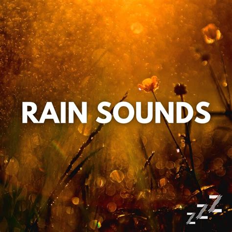 Binaural Rain Sounds ASMR Perfect Natural White Noise For Sleeping