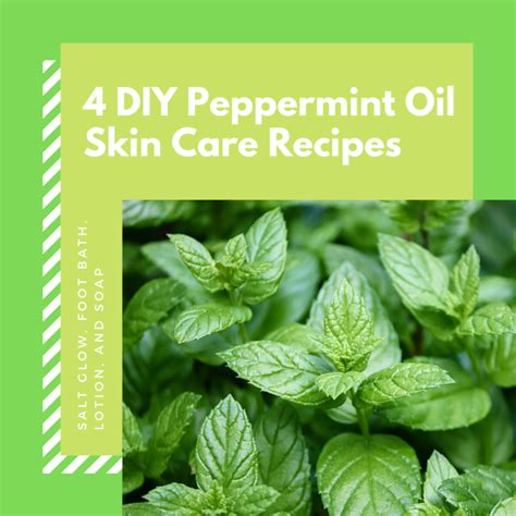 4 Diy Peppermint Essential Oil Skin Care And Beauty Recipes Hubpages