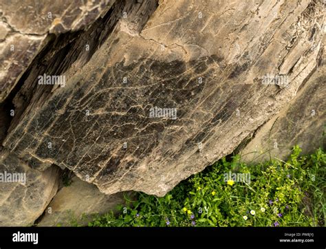 Los Sitios De Arte Rupestre Prehist Rico Del Valle Del Coa Al Aire