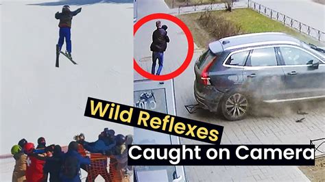 Wildest Reflexes Caught On Camera Youtube