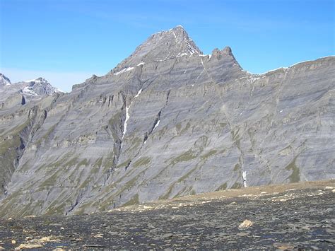 Das Rinderhorn 3448m Fotos Hikr Org