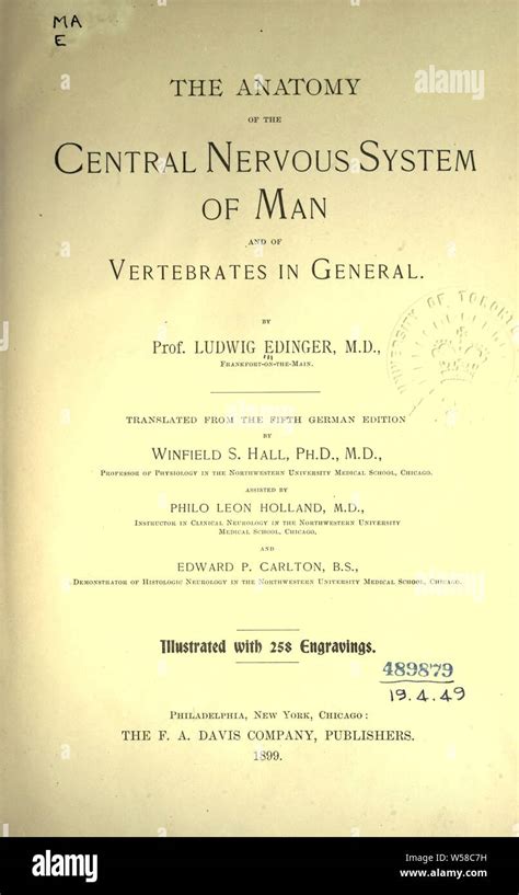 The Anatomy Of The Central Nervous System Of Man And Of Vertebrates In